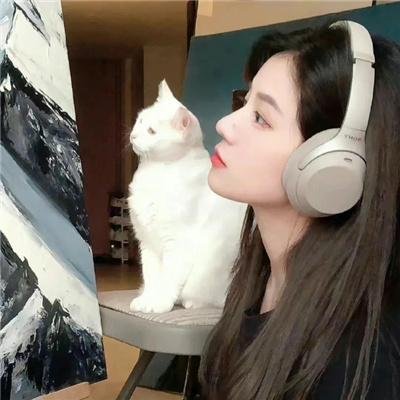 卡通婚礼