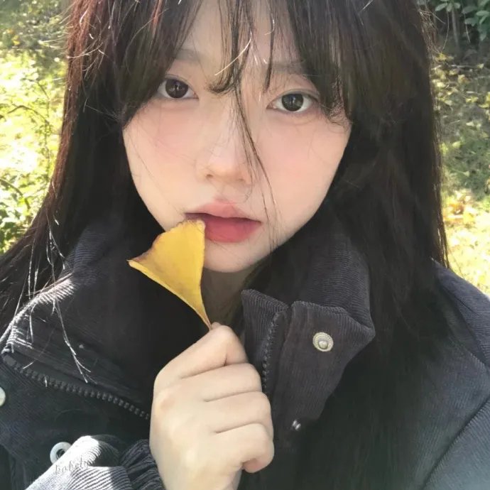 以你的心诠释我的爱 第二季